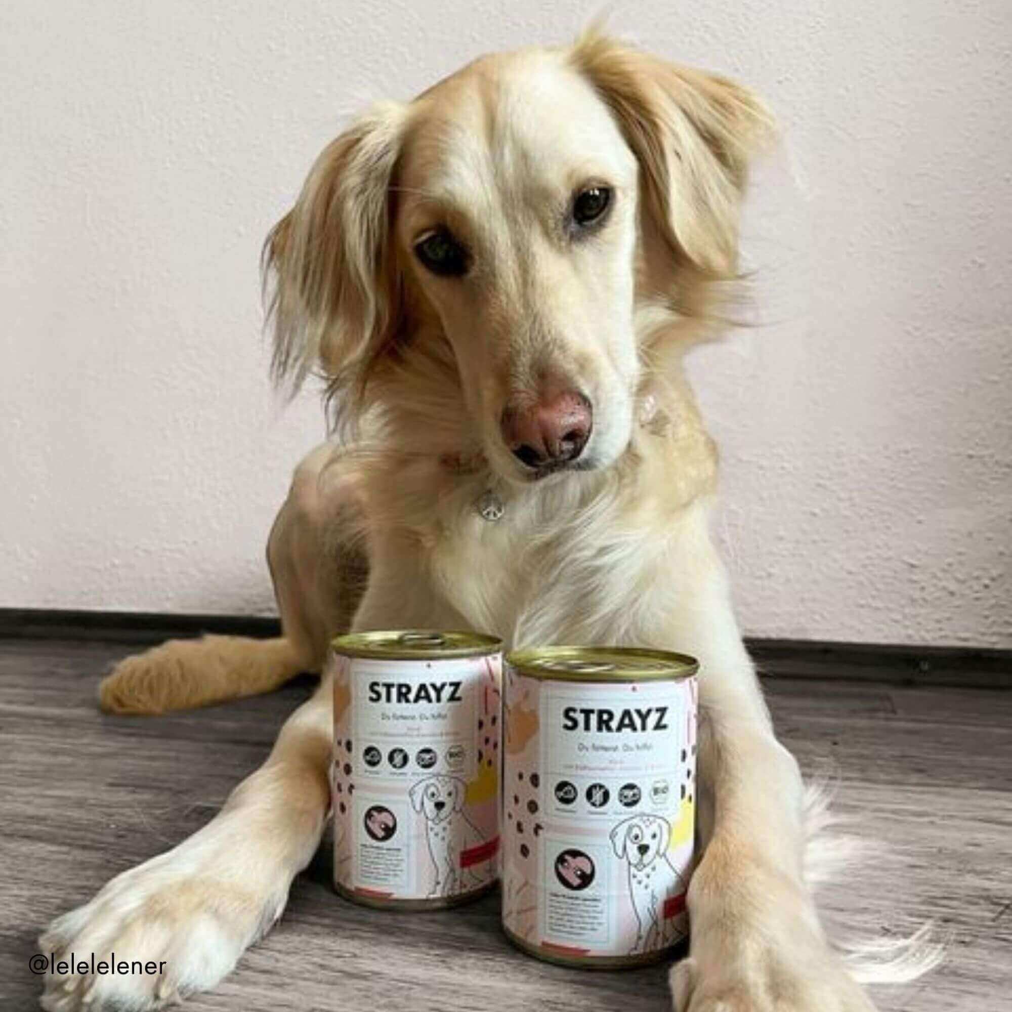 STRAYZ koiran märkäruoka nauta 400g luomu