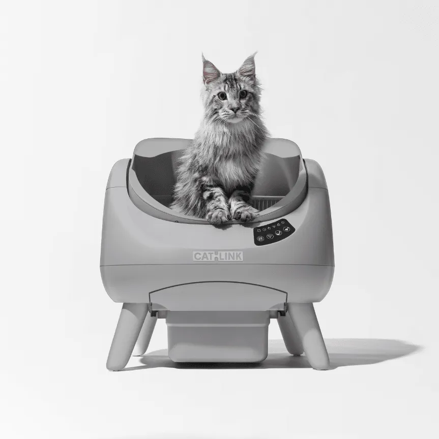CATLINK Open-X Lite itsepuhdistuva hiekkalaatikko avoin