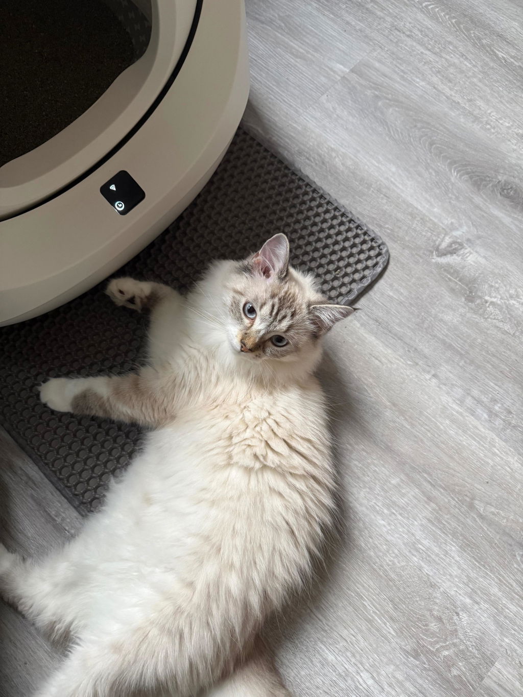 CATLINK Baymax itsepuhdistuva kissanhiekkalaatikko valkoinen roosa