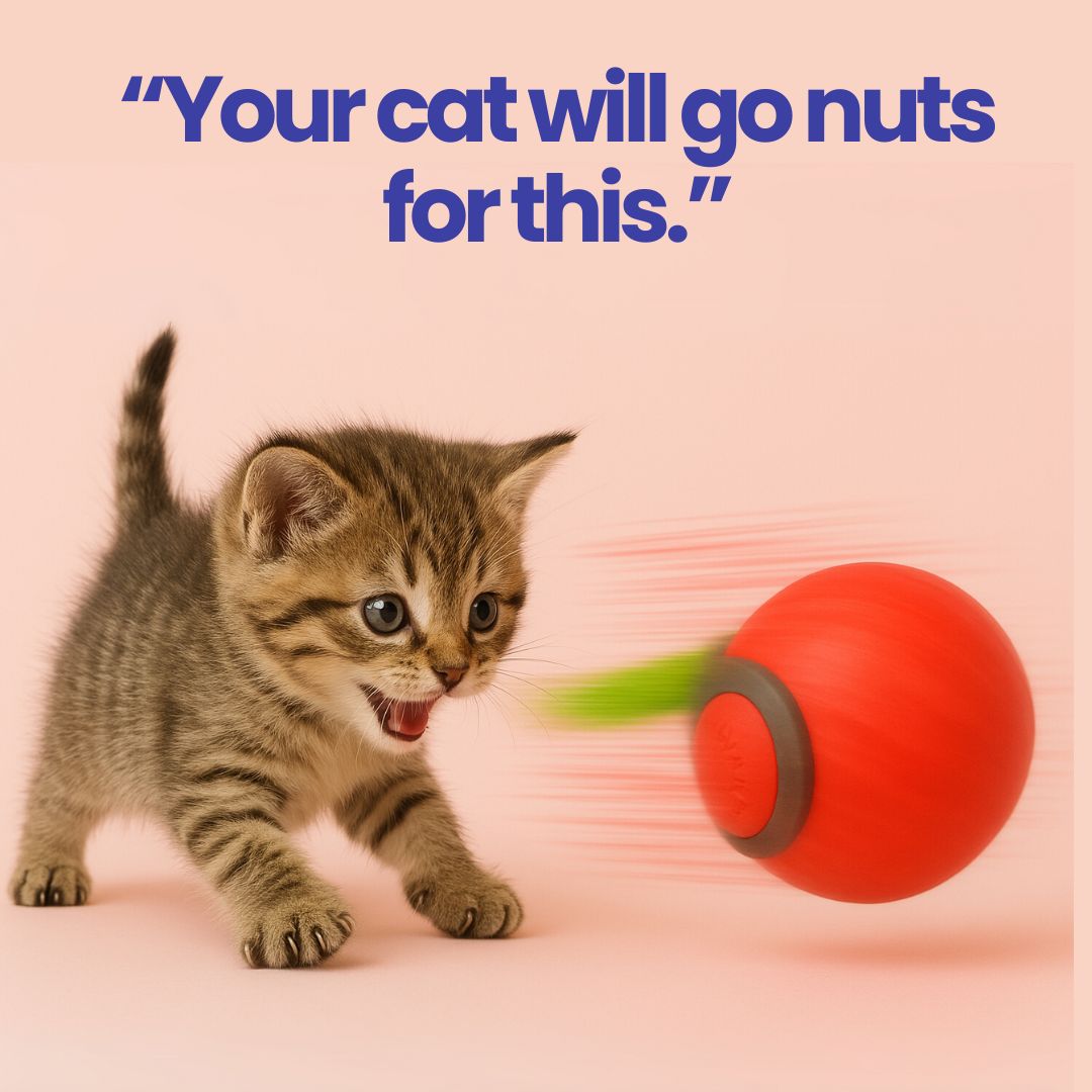 Purrbowl PurrBall 3.0 kissalelu pallo 1 kpl interaktiivinen