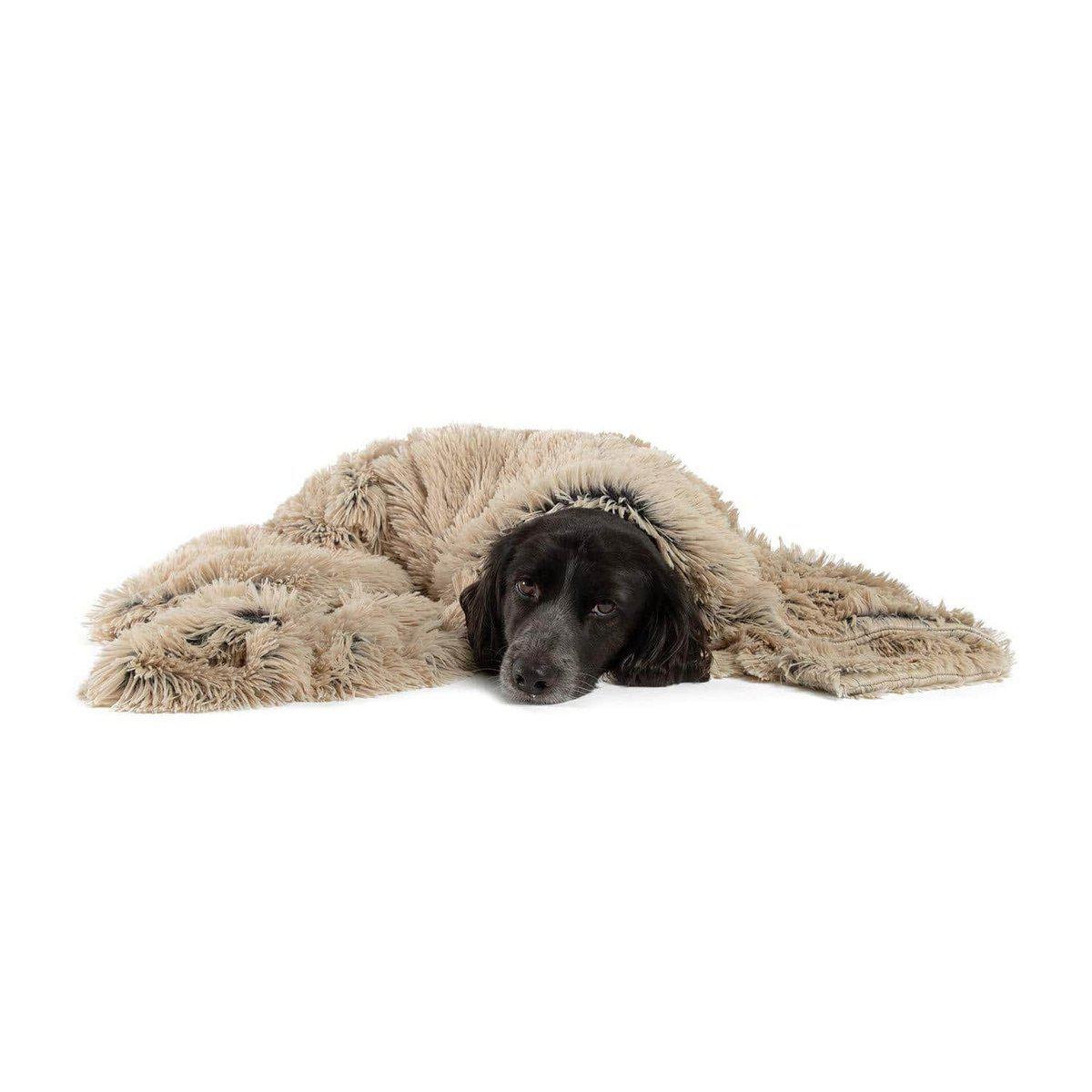 Best Friends By Sheri Shag Throw viltti lemmikille taupe