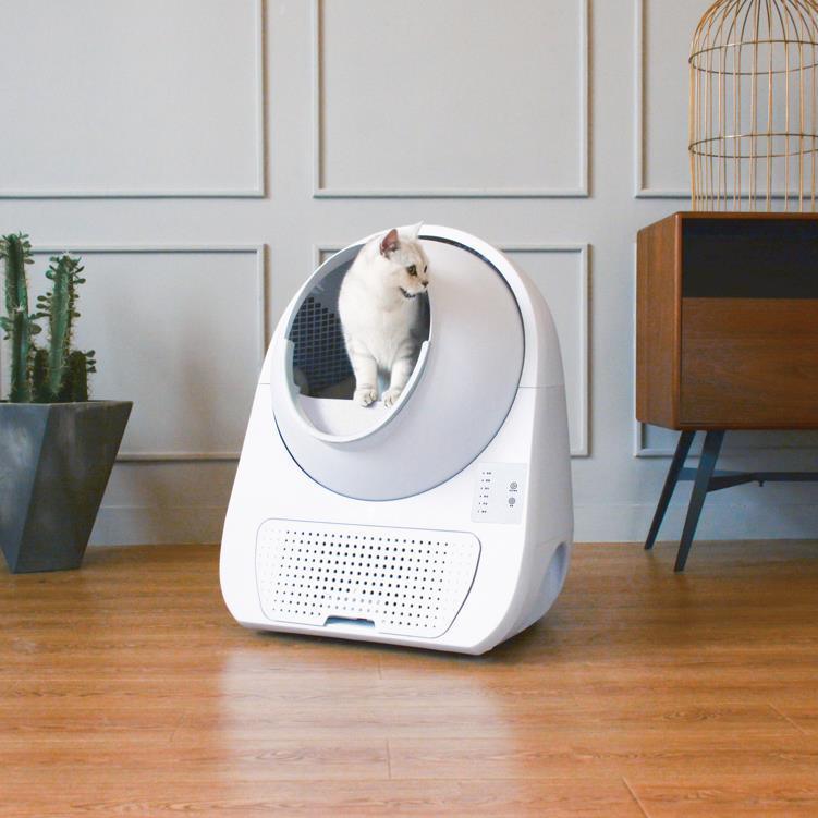 CATLINK Young itsepuhdistuva kissanhiekkalaatikko rampilla
