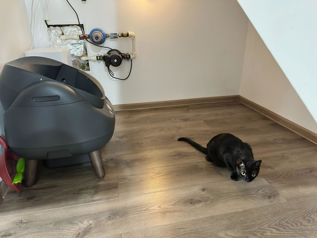 CATLINK Open-X itsepuhdistuva kissanhiekkalaatikko valkoinen avoin