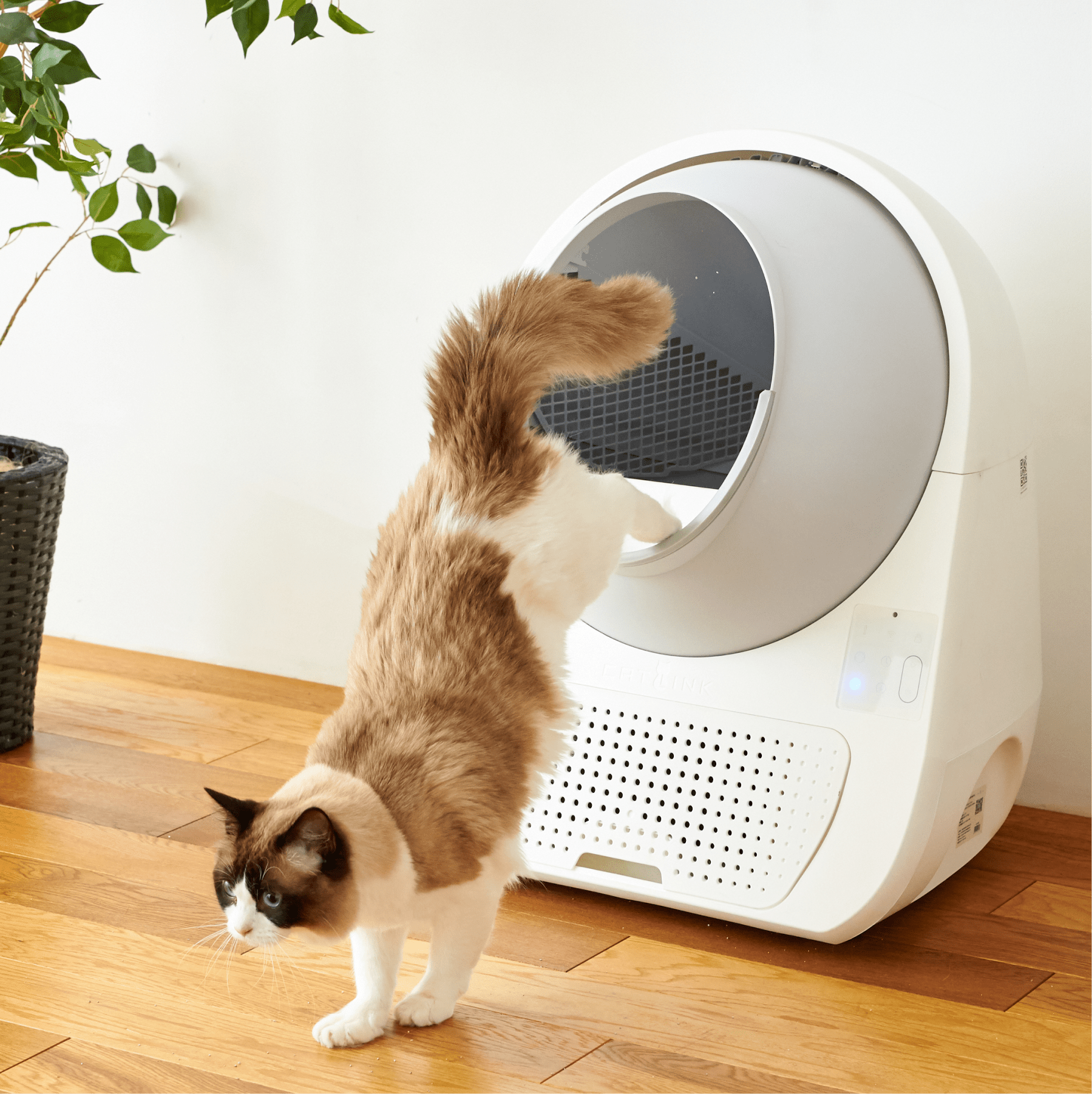 CATLINK Pro-X Luxury kissanhiekkalaatikko rampilla UV-puhdistus