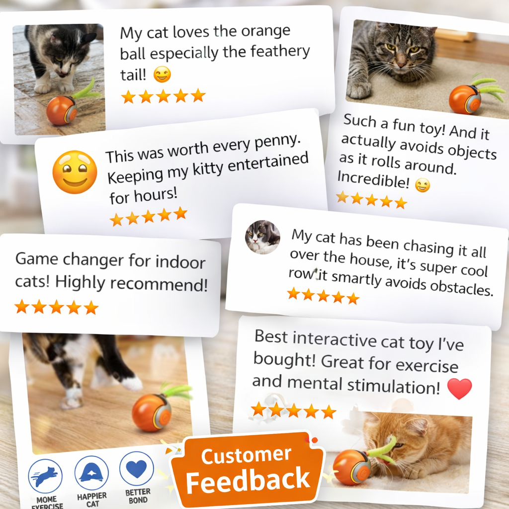 Felinoir Interactive Cat Toys kissalelu sininen liikkuva