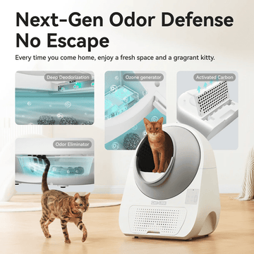 CATLINK Pro-X Ultra itsepuhdistuva kissanvessa kameralla