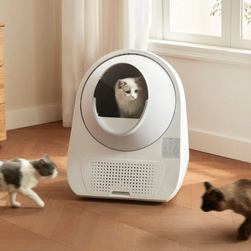CATLINK Pro-X Ultra itsepuhdistuva kissanvessa kameralla