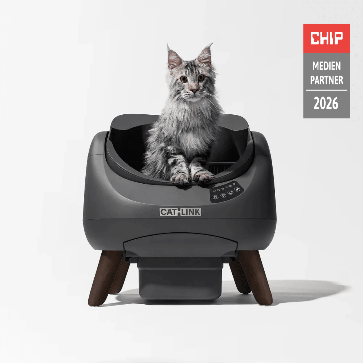 CATLINK Open-X itsepuhdistuva kissanhiekkalaatikko valkoinen avoin