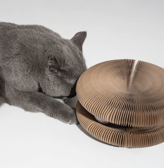 Purrbowl Magic Accordion kissatunneli haitarilelu