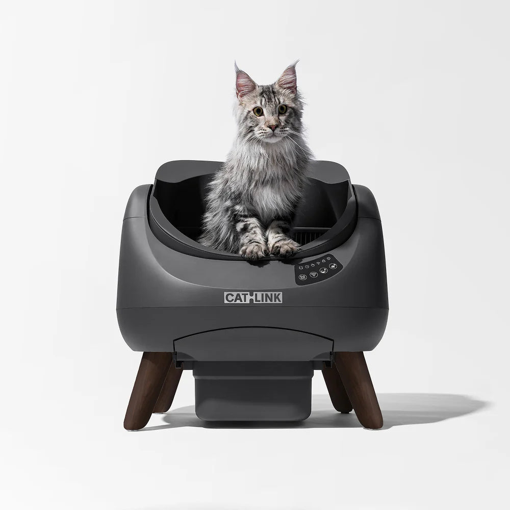 CATLINK Open-X itsepuhdistuva kissanhiekkalaatikko valkoinen