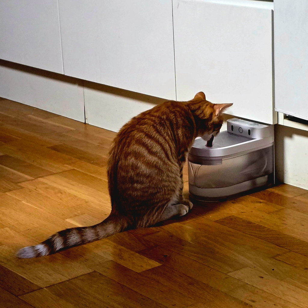 CATLINK W03 juomalähde kissalle langaton 2,3 l hiljainen