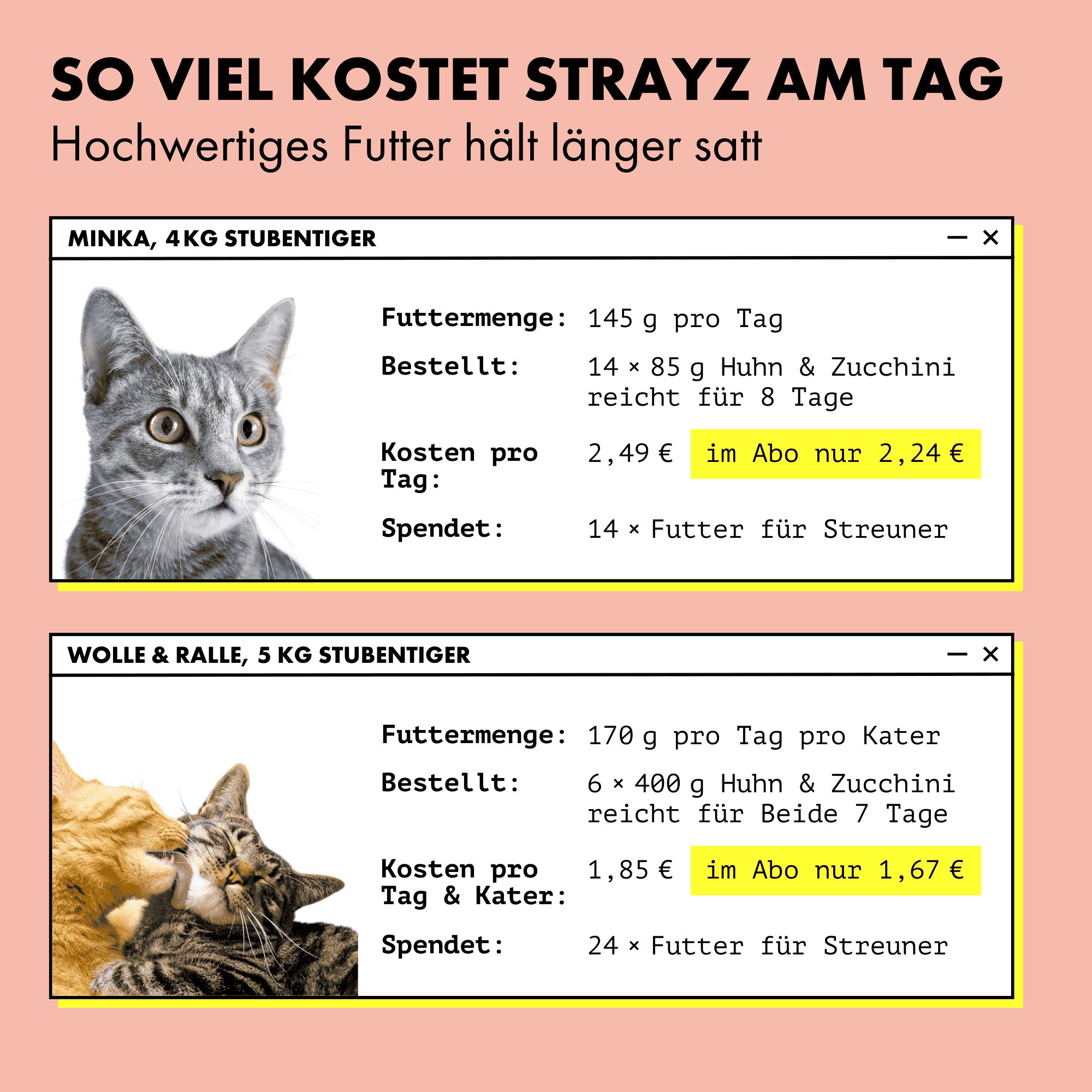 STRAYZ lohi-parsakaali märkäruoka kissalle 85g viljaton