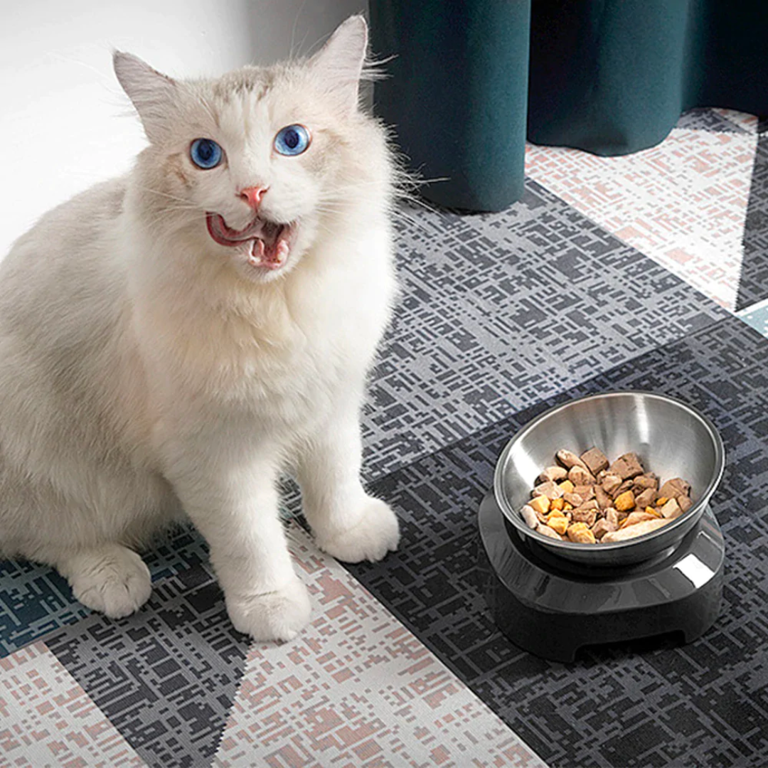 Purrbowl Steel ruokakuppi Double Bowl teräs