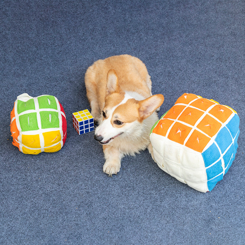 Miaouplay Cube de Fouille nuuskukuutio koiralle 15 cm herkkupiilo