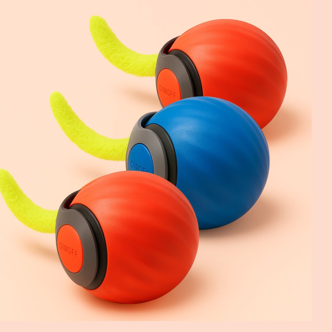 Purrbowl PurrBall 3.0 kissalelu pallo 1 kpl interaktiivinen
