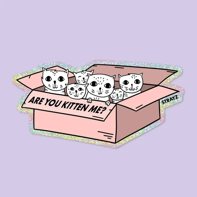 STRAYZ Are you Kitten me kissatarra