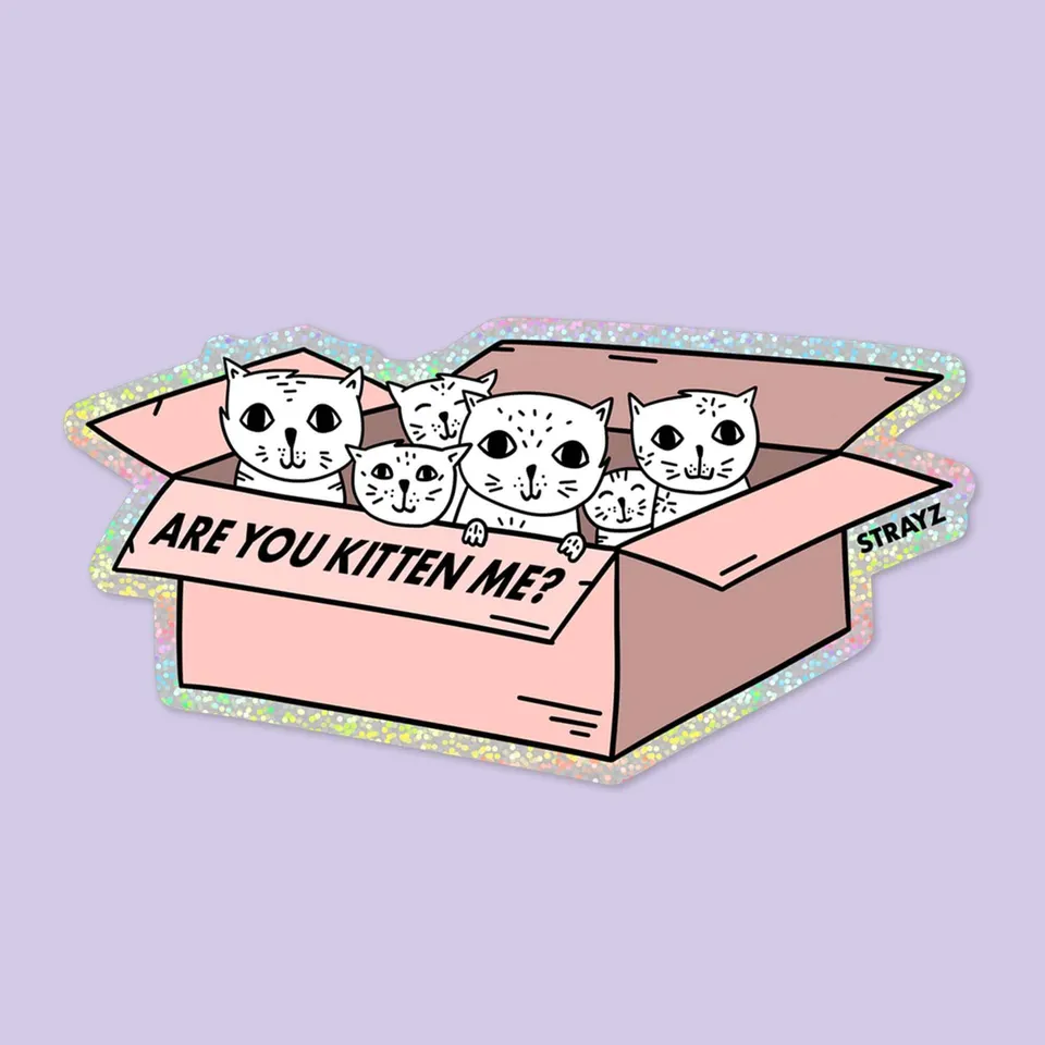 STRAYZ Are you Kitten me kissatarra