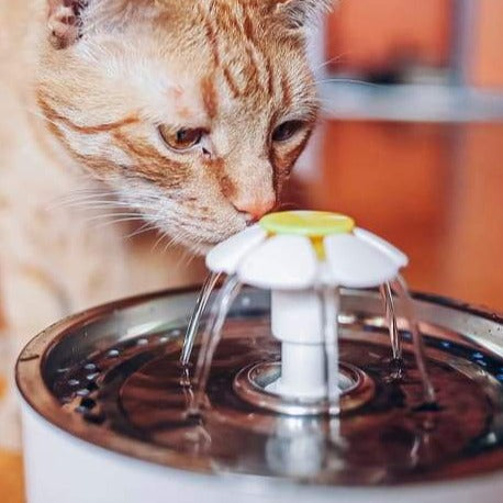 Purrbowl PurrHydration vesilähde kissalle 2,5 l hiljainen
