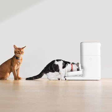 CATLINK F04 RFID Fresh 2 Luxury ruoka-automaatti 4 l keraaminen