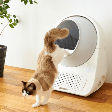 CATLINK Pro-X Luxury itsepuhdistuva kissanhiekkalaatikko