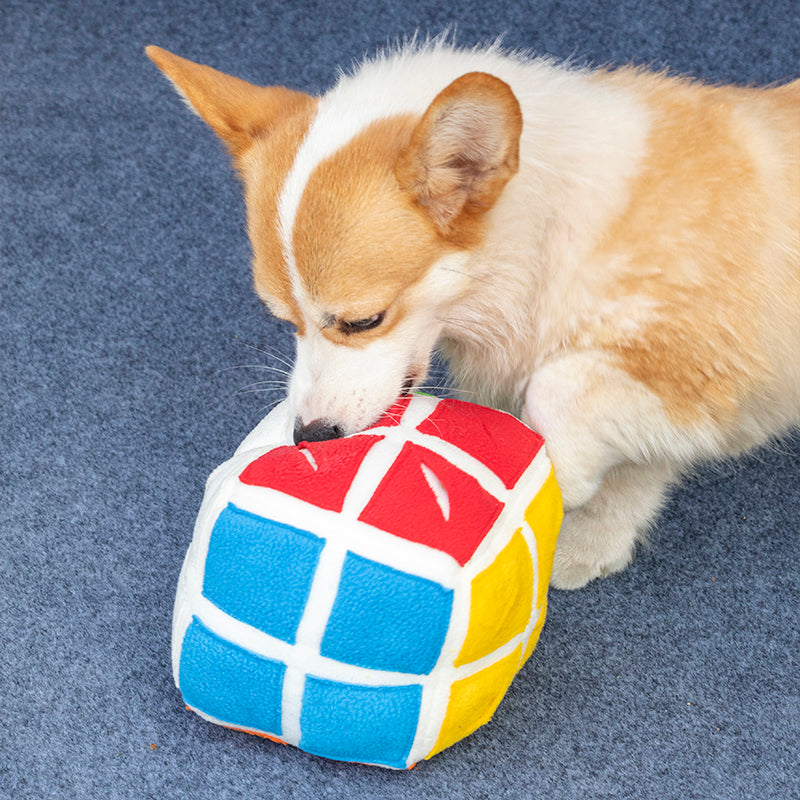 Miaouplay Cube de Fouille nuuskukuutio koiralle 15 cm herkkupiilo