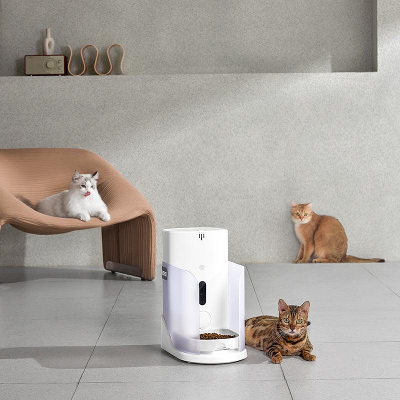 CATLINK Facelink ruoka-automaatti monen kissan kotiin