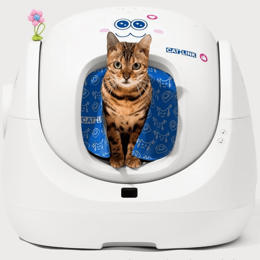 CATLINK Baymax Young Pro-X oviverho sininen yksityisyyteen