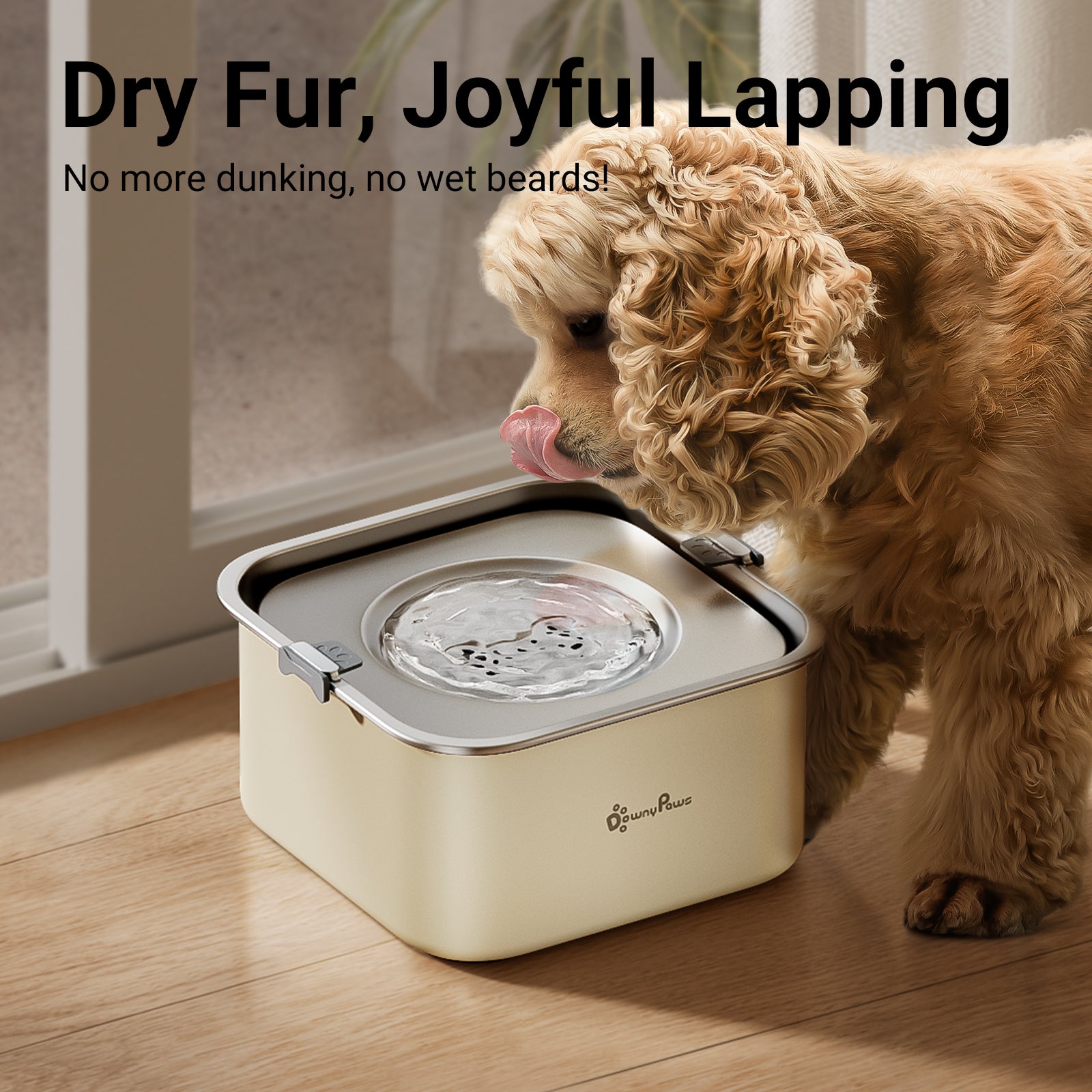 Downypaws No Spill koiran vesikuppi beige roiskumaton