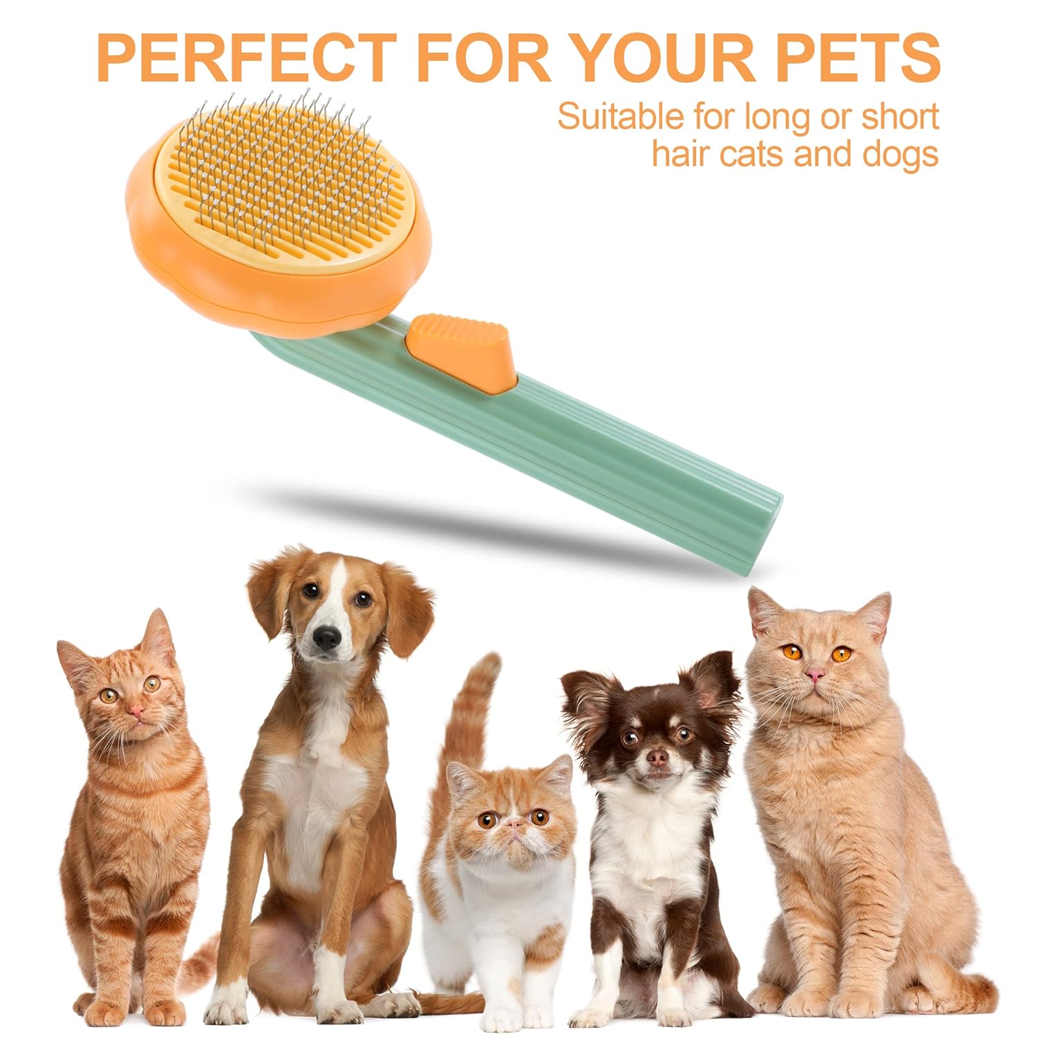 Felinoir Self Cleaning Slicker Brush lemmikkiharja kurpitsa itsep.