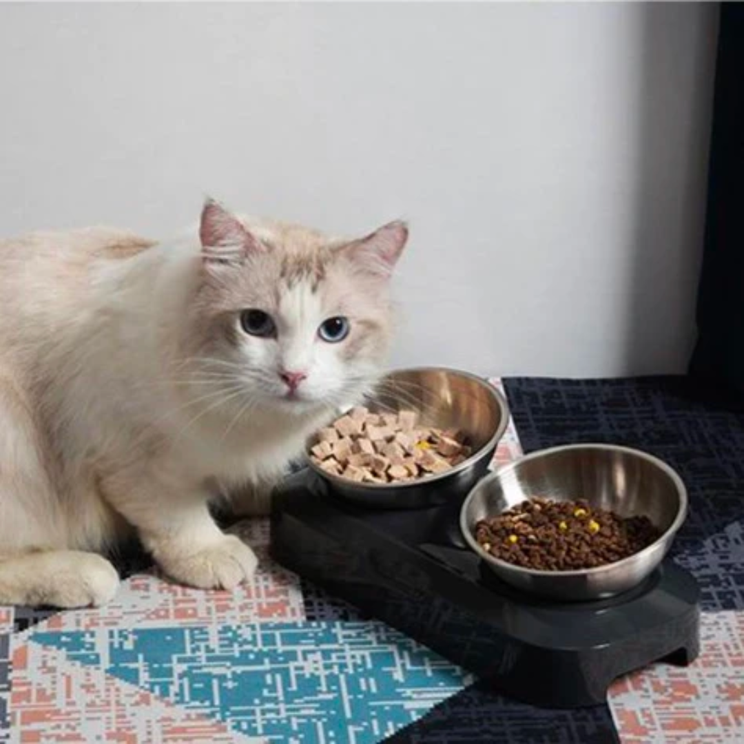 Purrbowl Steel ruokakuppi Double Bowl teräs