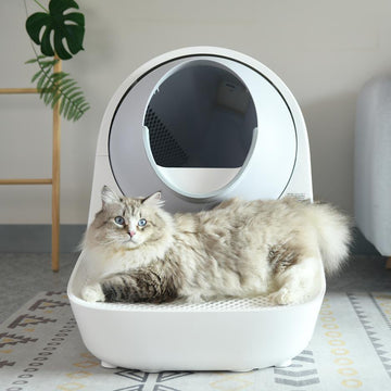 CATLINK Pro-X Luxury kissanhiekkalaatikon porras valkoinen