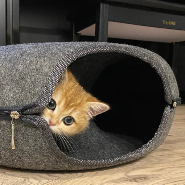 Purrbowl Donut kissaluola kissalle huopa 3-in-1