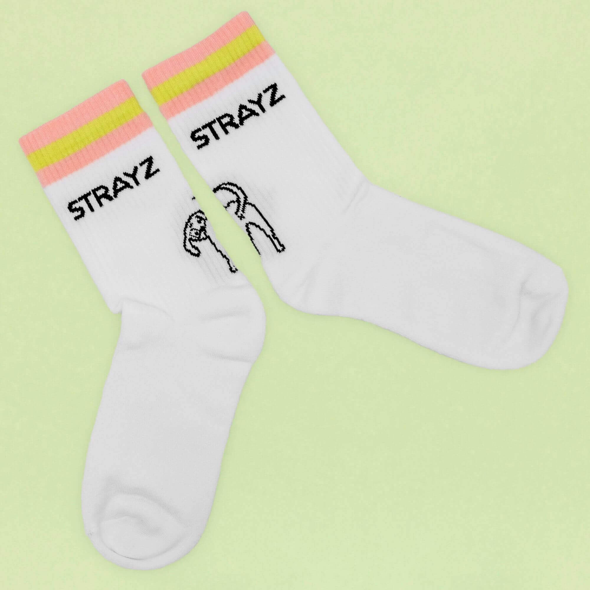 STRAYZ Doggo tennissukat koira koko S 36-38