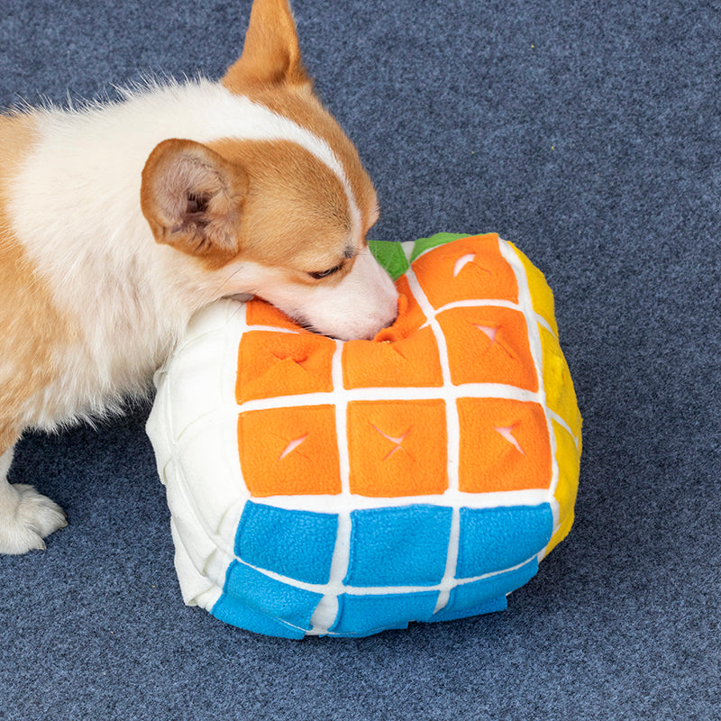 Miaouplay Cube de Fouille nuuskukuutio koiralle 15 cm herkkupiilo