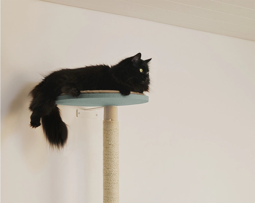 Paksu kissa ISO PUU lepotaso pyöreä 40 cm koivuvaneri