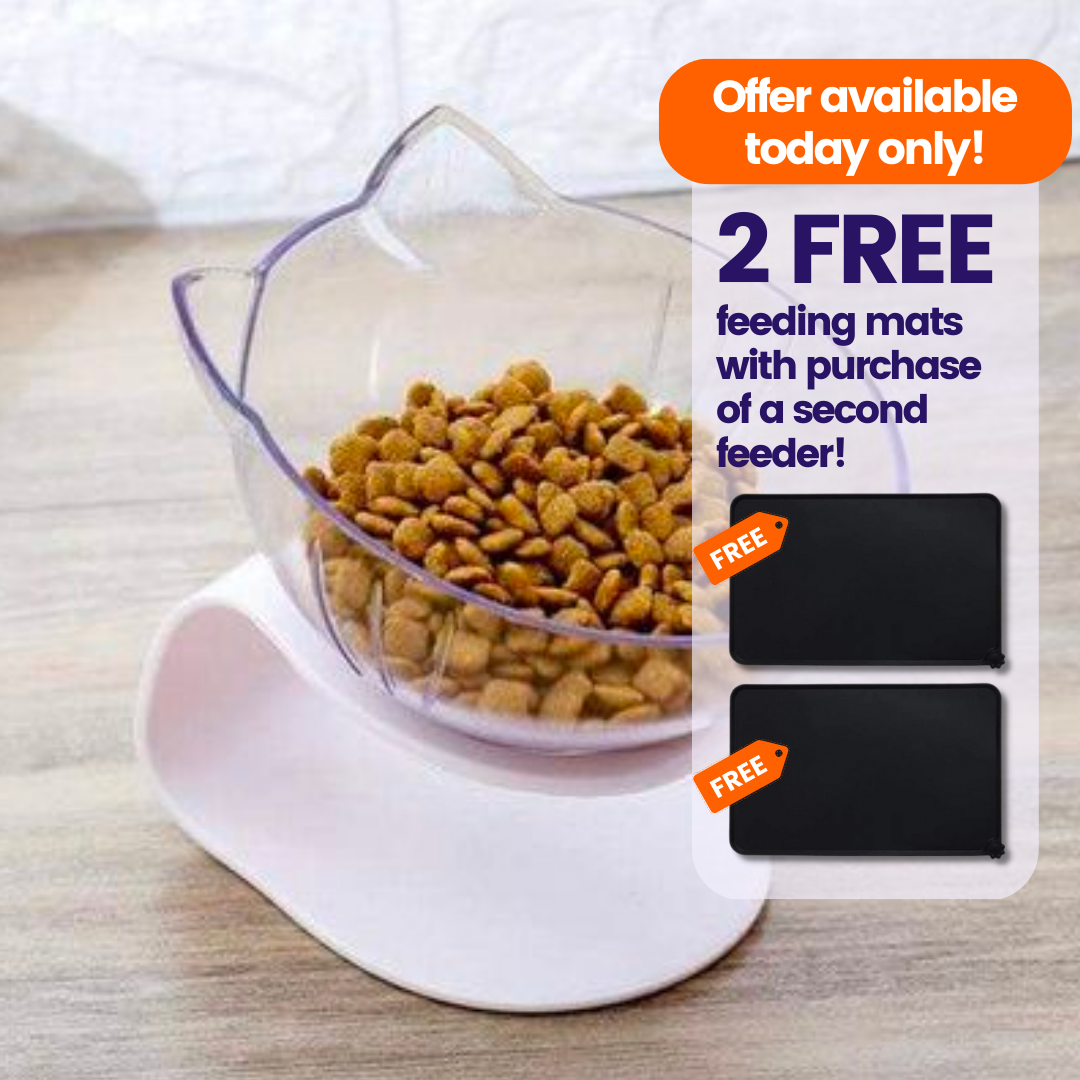 Purrbowl PurrBowl kissankuppi Double Bowl tupla