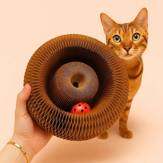 Purrbowl Cat-cordion kissanlelu haitariraapija